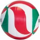 М'яч волейбольний MOLTEN V5M2500-SH