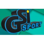 GSI-sport