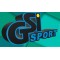 GSI-sport